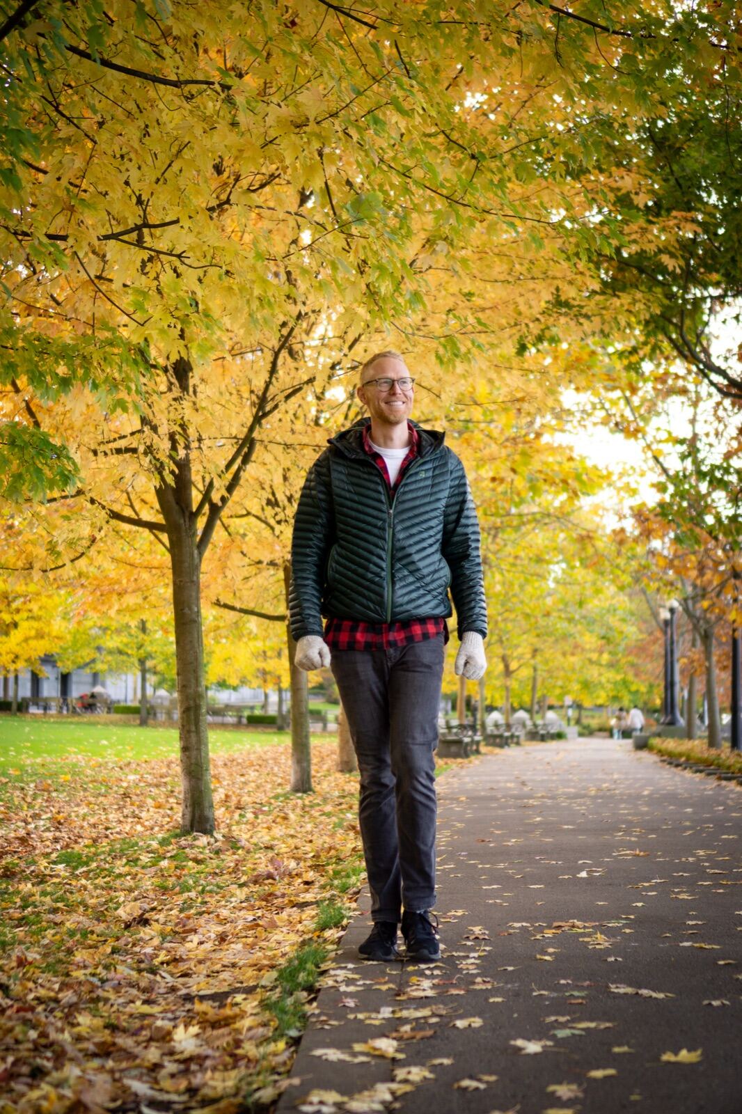 Autumn walk beneath golden trees