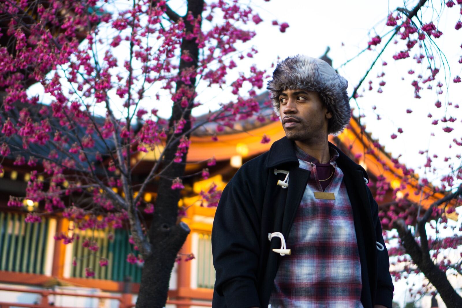 Portrait beneath spring cherry blossoms